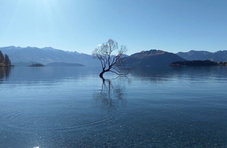 Wanaka