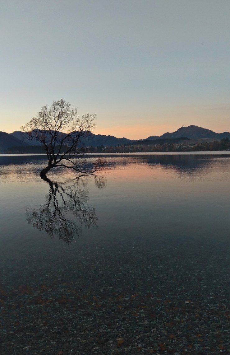 Wanaka1